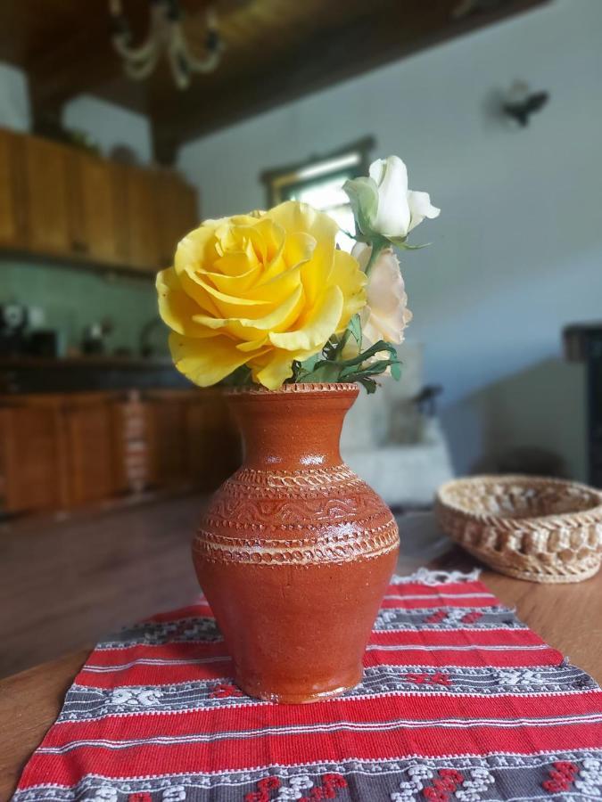 Casuta Din Rusca Villa Sebesu de Jos Bagian luar foto