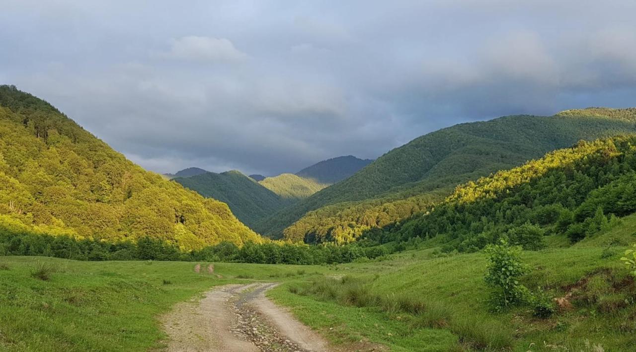 Casuta Din Rusca Villa Sebesu de Jos Bagian luar foto