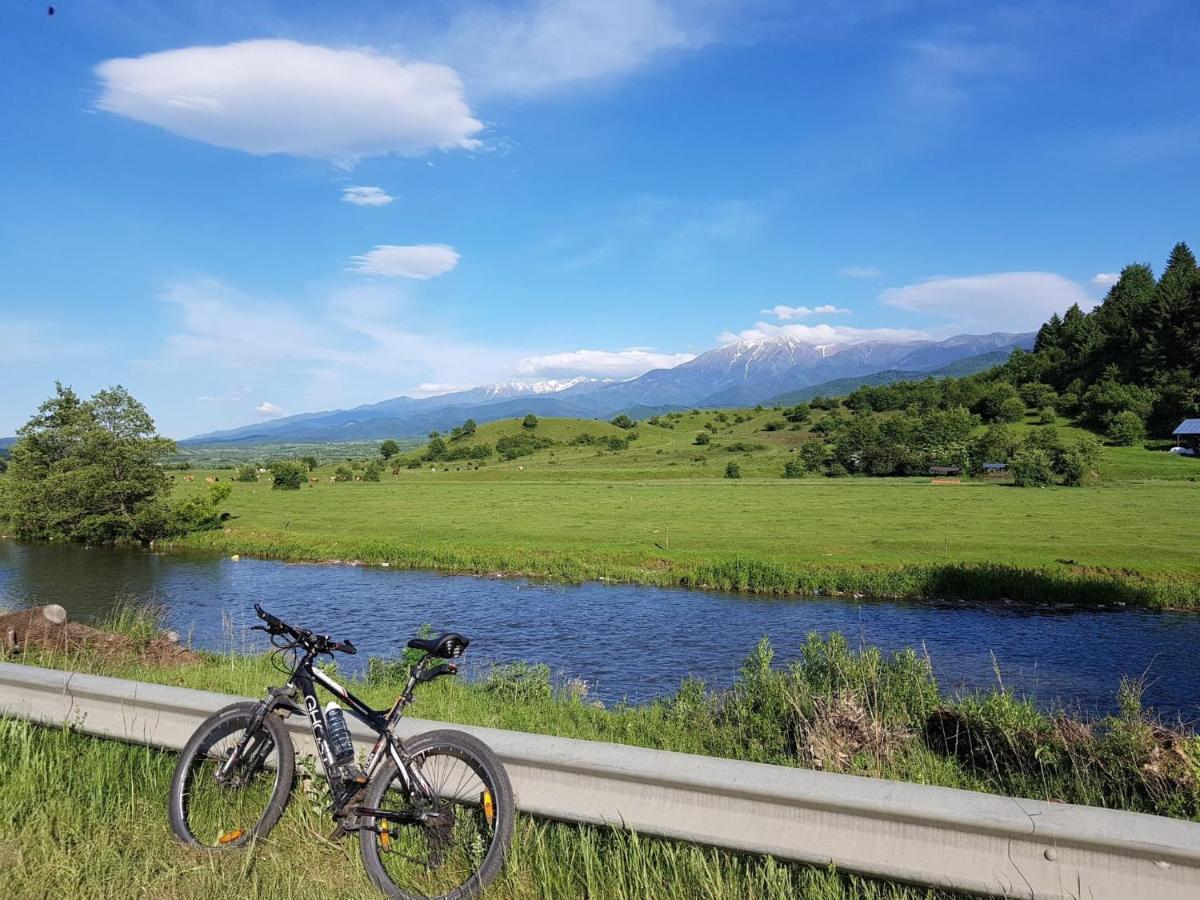Casuta Din Rusca Villa Sebesu de Jos Bagian luar foto