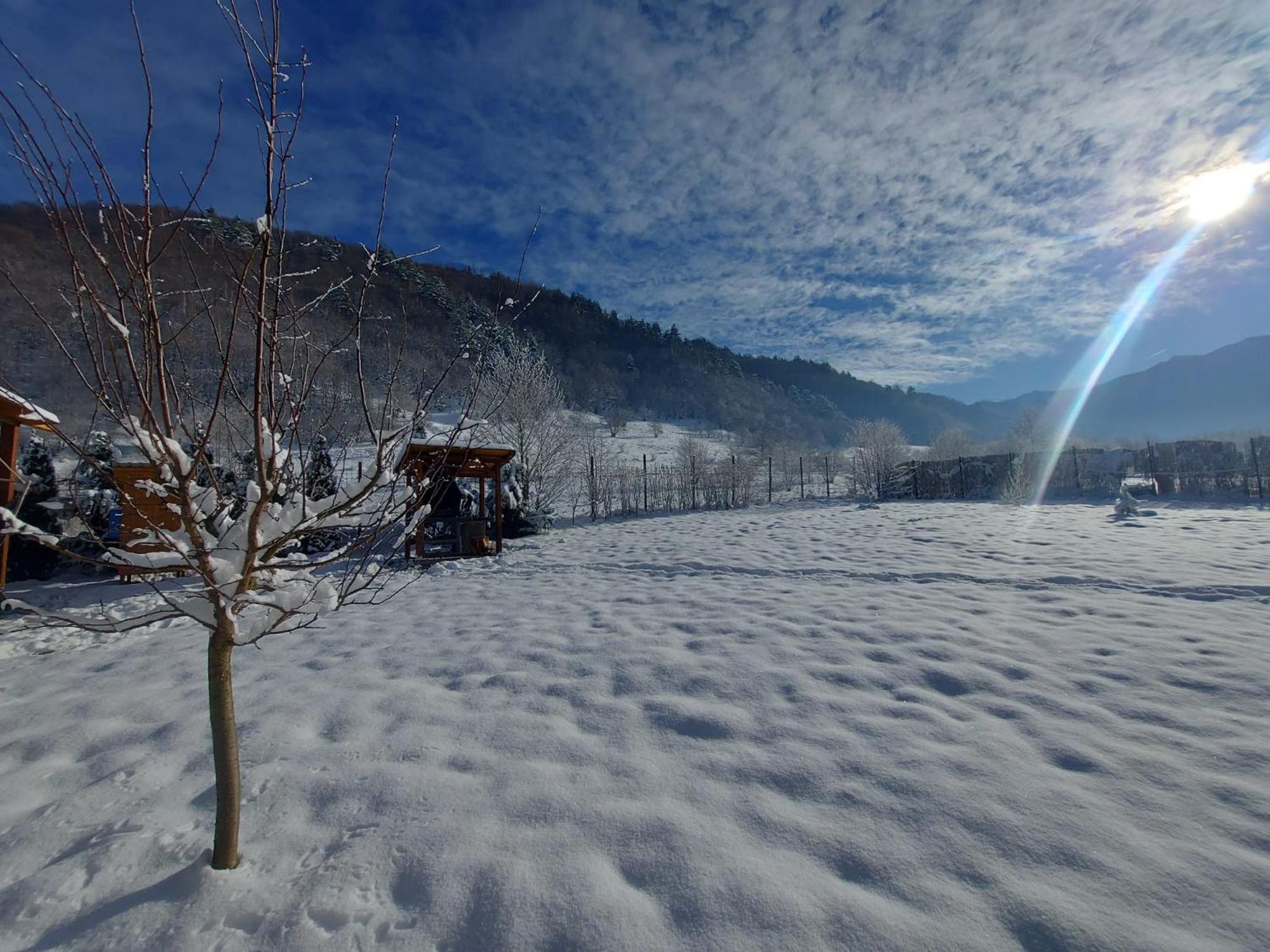 Casuta Din Rusca Villa Sebesu de Jos Bagian luar foto