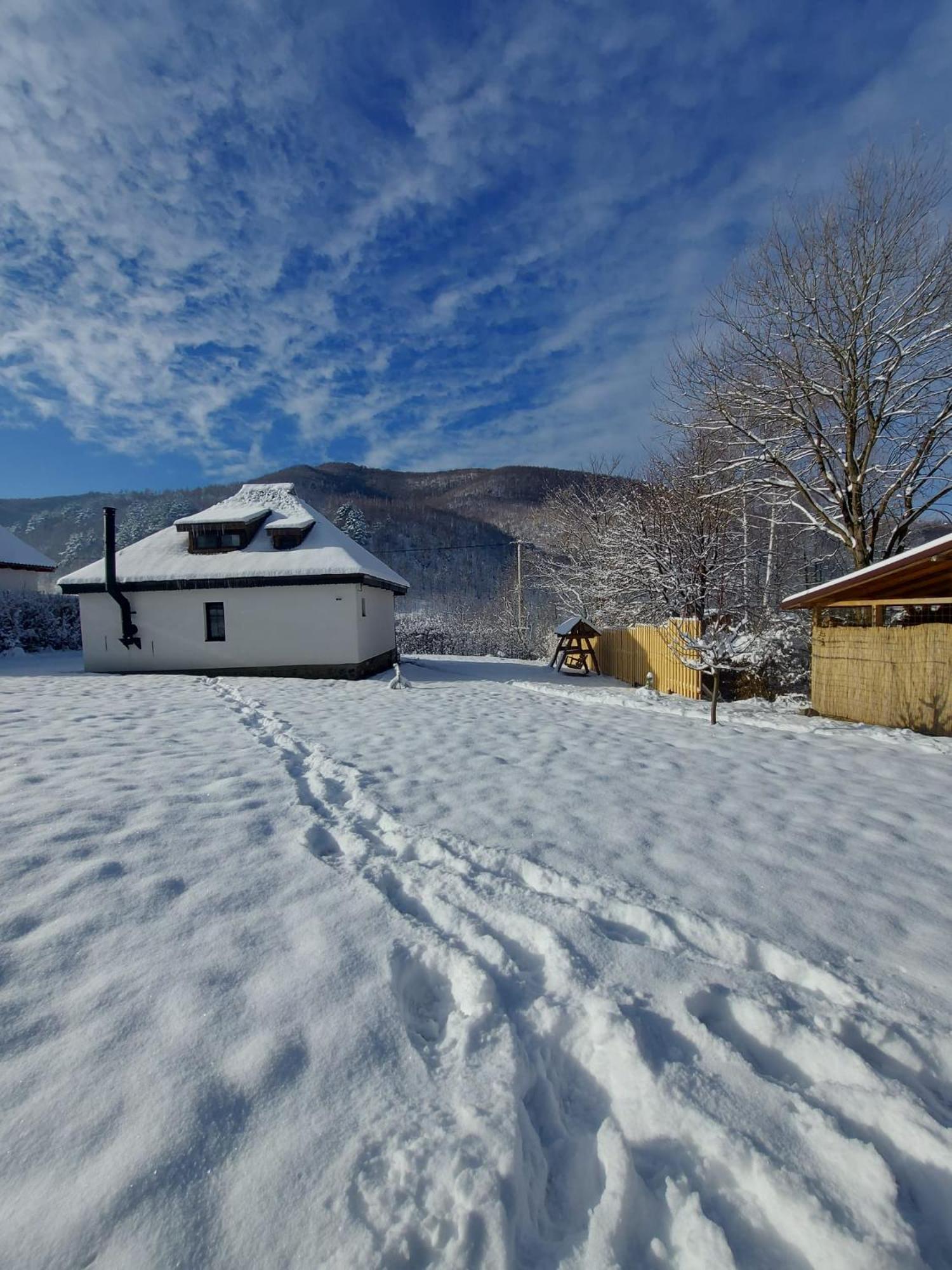 Casuta Din Rusca Villa Sebesu de Jos Bagian luar foto