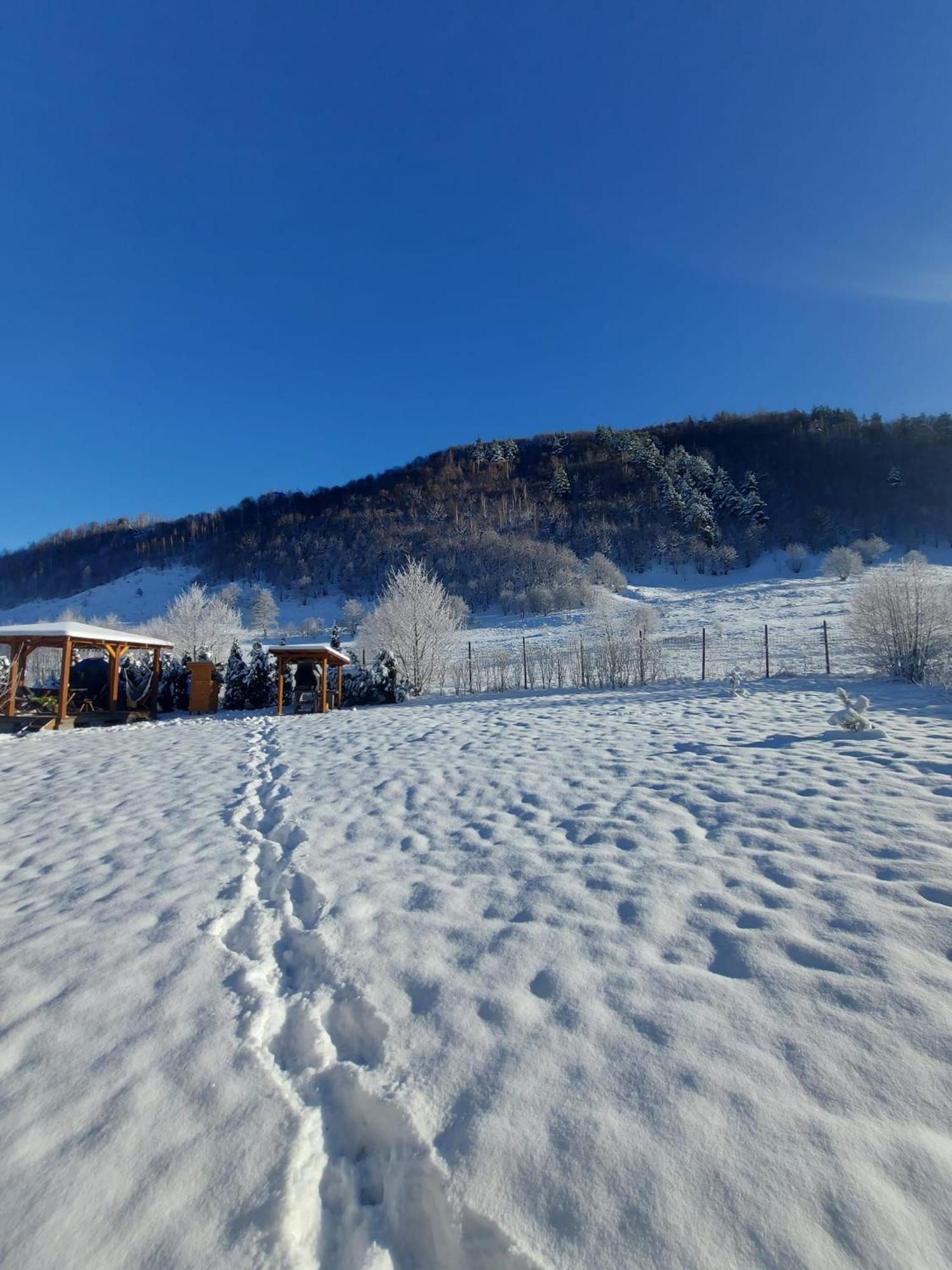 Casuta Din Rusca Villa Sebesu de Jos Bagian luar foto